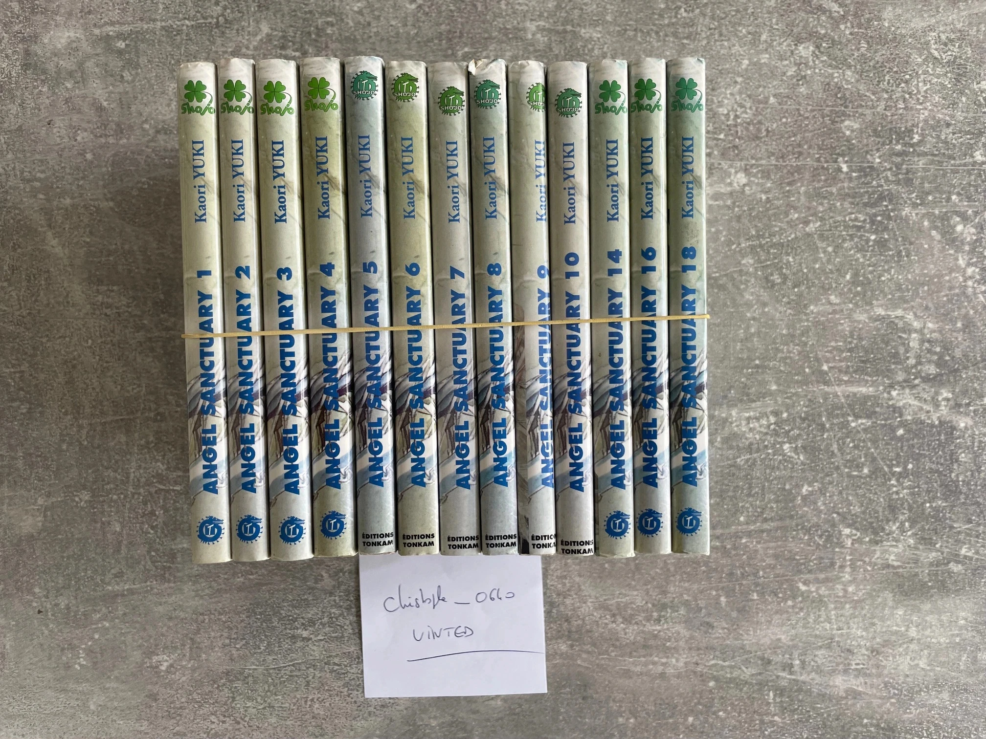 Lot de 13 mangas angel sanctuary, tomes 1 à 10 et 14,16,18  en versão francesa. – photo 2